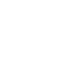 Diamond Bear Brewery Logo